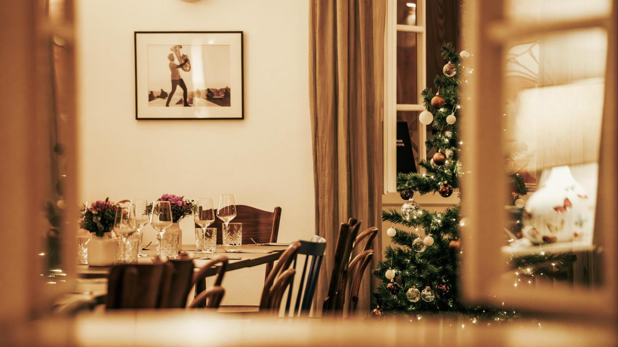 Dvorak Apartament *